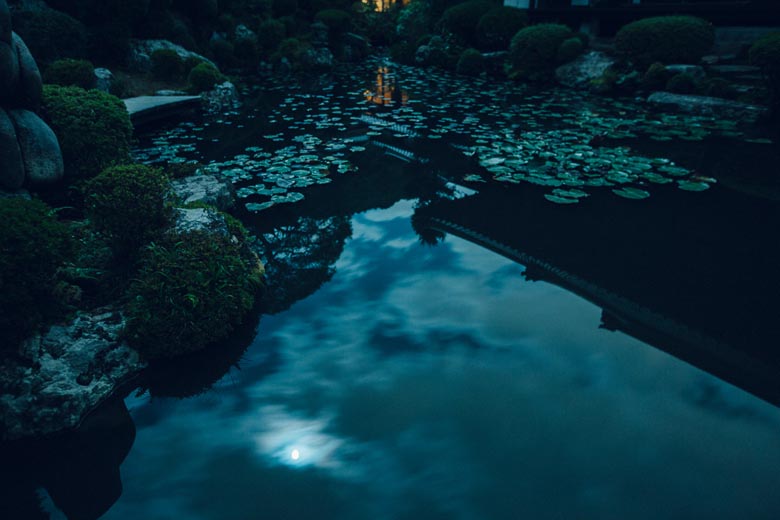 “月の庭” の所以の通り池面に月が浮かぶ夜の成就院庭園